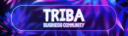 Discovery splash banner for Triba Business Community Discord server