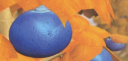 Discovery splash banner for Tricky Gym Discord server