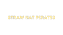 Discovery splash banner for The Straw Hat Crew Discord server