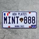 Discovery splash banner for EvanPickle Discord server