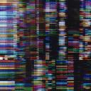 Discovery splash banner for Studio Eye Discord server