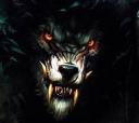 Discovery splash banner for The Crimson Wolves Discord server