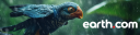 Discovery splash banner for Earth.com Discord server