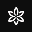 Discovery splash banner for Craniofacial Research Collective ® Discord server