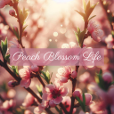 Discovery splash banner for Peach Blossom Life Discord server
