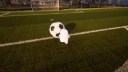 MikoVerse screenshot 1