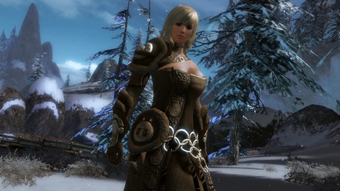 Guild Wars 2 screenshot 4