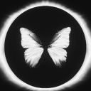Butterfly icon