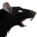 A Plague Tale: Innocence
