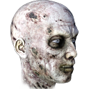 The Infected