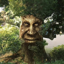 Wise Mystical Tree icon