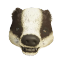 Badger icon