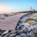 SAVE MY SERVER BOT restorecord icon