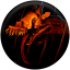 Zoochosis
