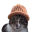 Catwifhat