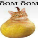 БОМБОМ БОТ avatar