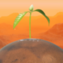 Blossom: The Seed Of Life