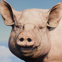 Pih 2