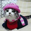 마냥
