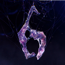 Resident Evil 6 / Biohazard 6