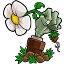 Plants vs. Zombies: Game of the Year