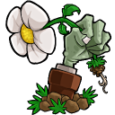 Plants vs. Zombies: Game of the Year