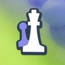 Chess In The Park