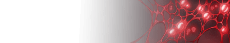 Bloodweb