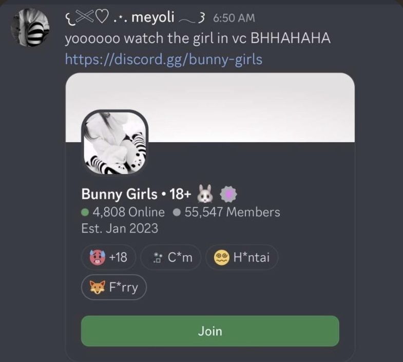 The Goon Garden Discord Phishing Alert