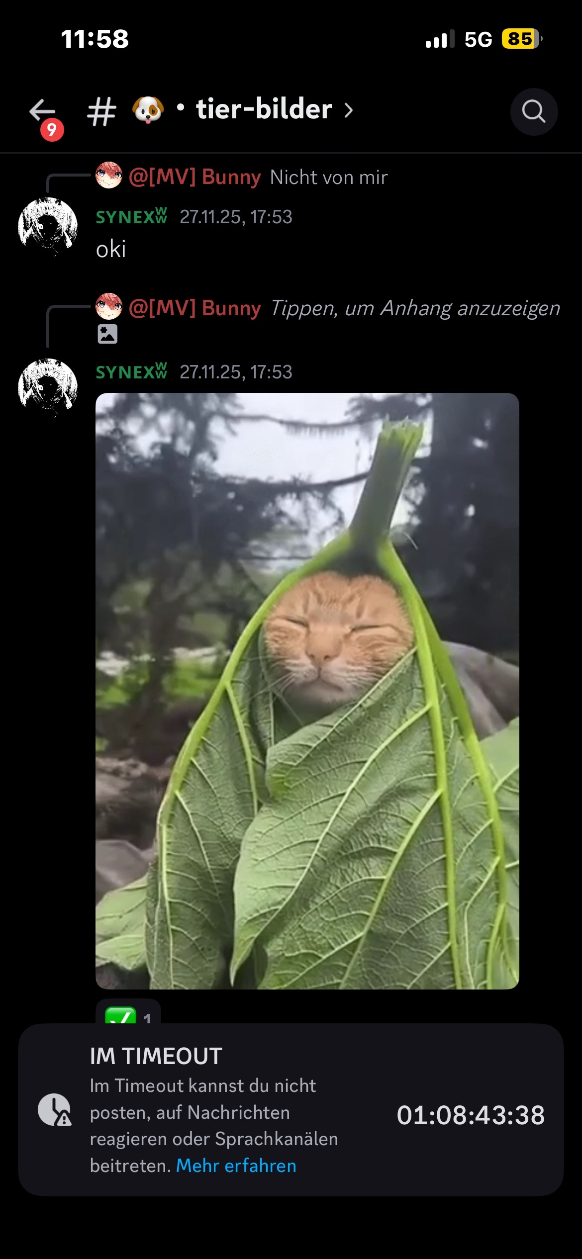 IMG_0012.png?ex=692ec684&is=692d7504&hm=9afaea332b3d246b55a6469dfef3a11b85c739fe386570fd0a7bc67a5bc3fd59&