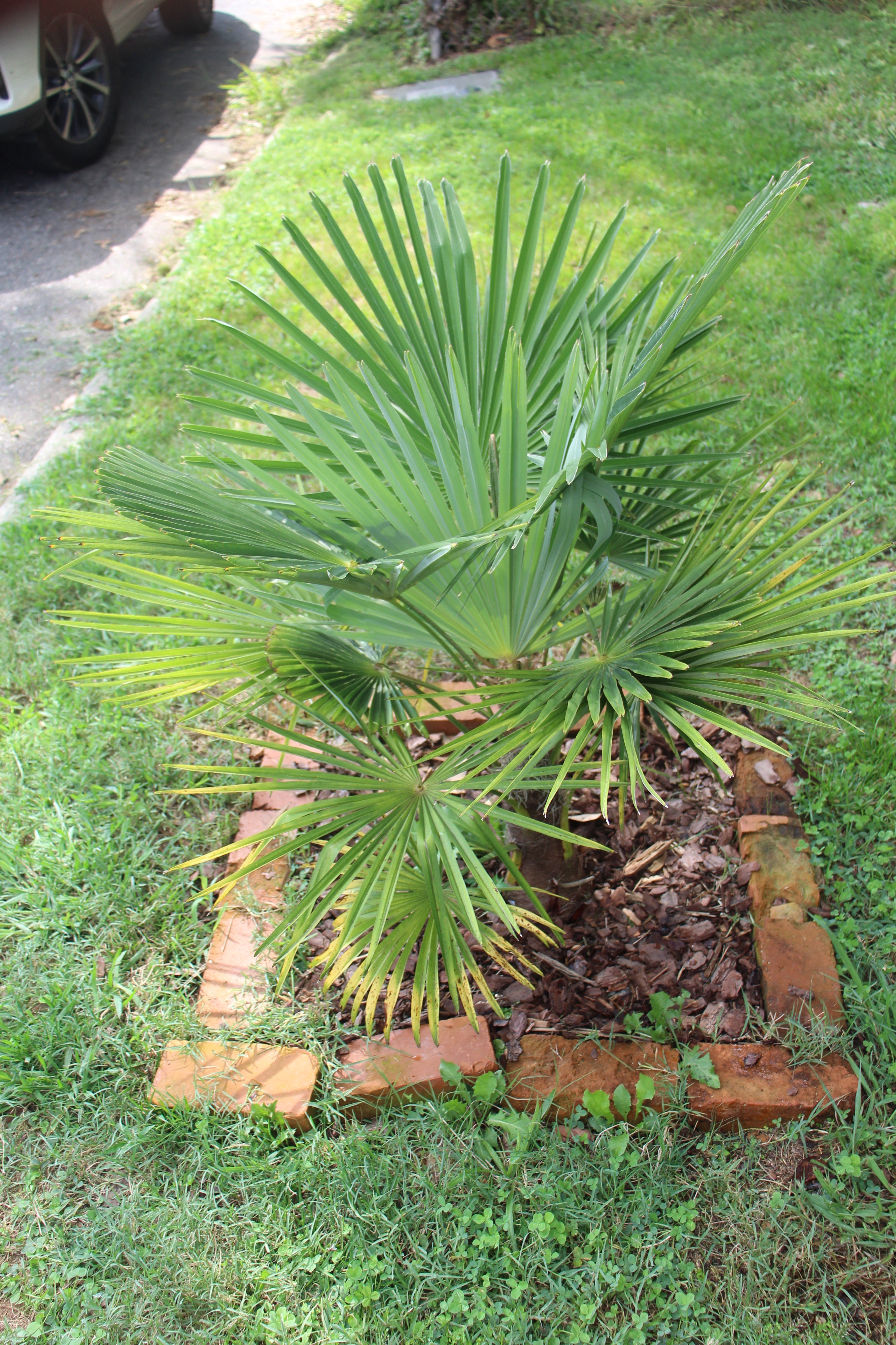 image.jpg?ex=69700cb0&is=696ebb30&hm=fc54f1a51d686c28578cf3558c84720d3c9780facddbad4ef66023290902c97b&=