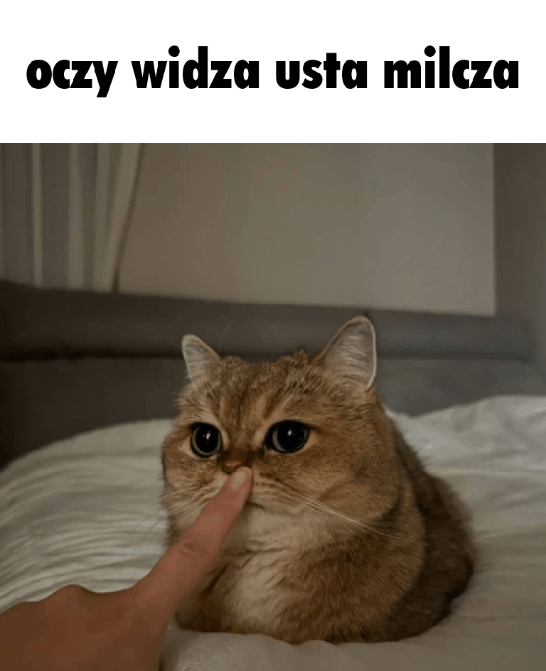 attachment.gif?ex=69f1604f&is=69f00ecf&h