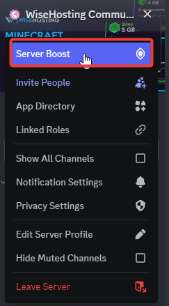 WiseHosting Booster Perks and Nitro Giveaways
