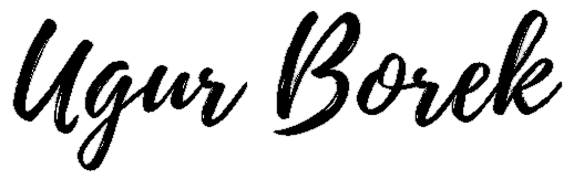 Bild_2025-06-08_172350896-Photoroom.png
