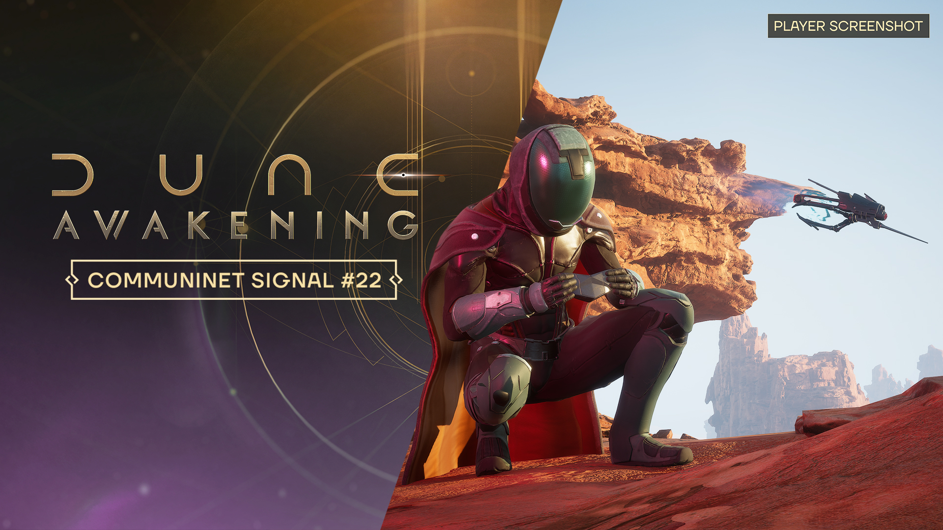 Communinet Signal #22: Community Art and Builds