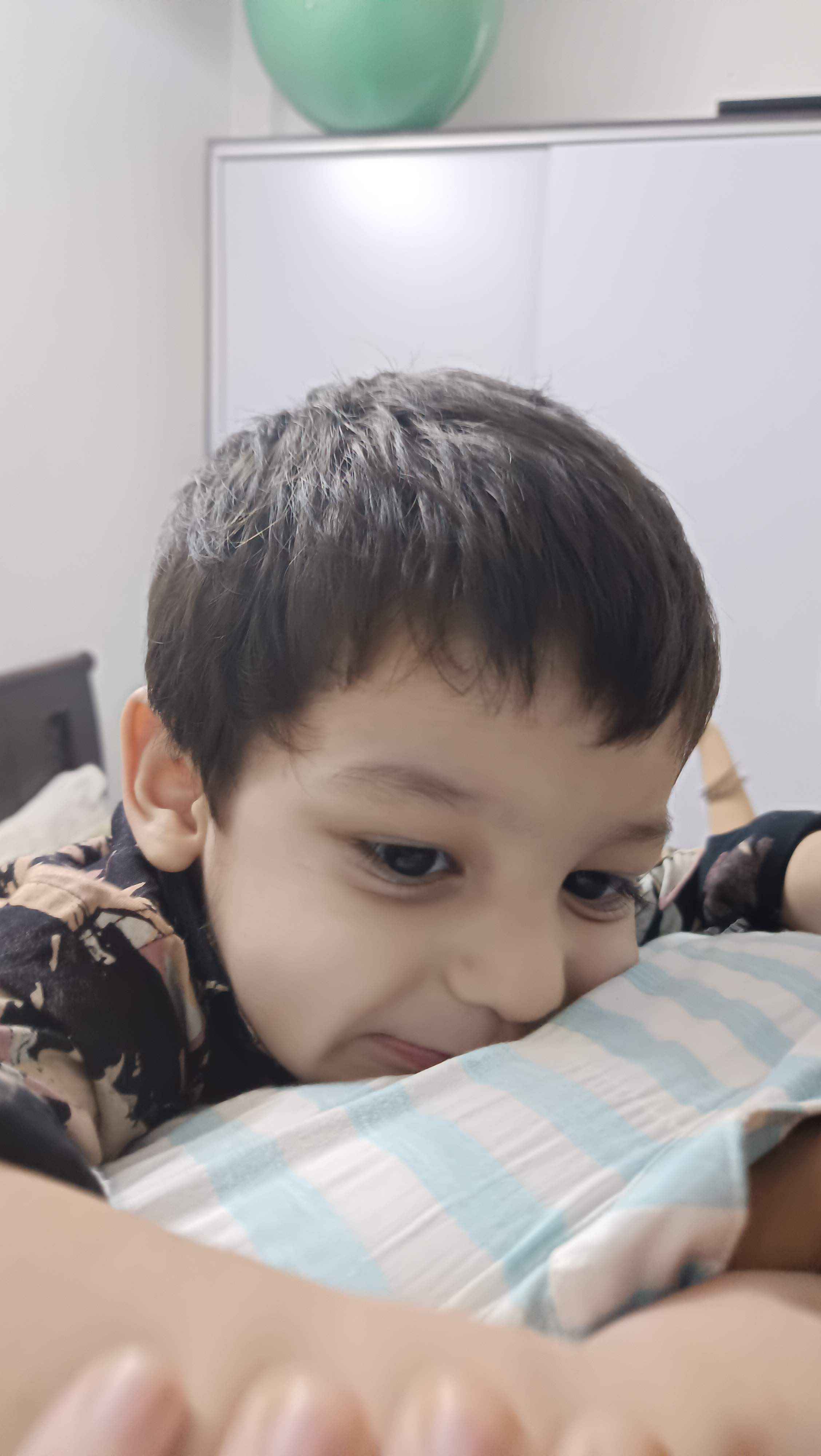 Share Random Pics in SOFA Community - Image 1