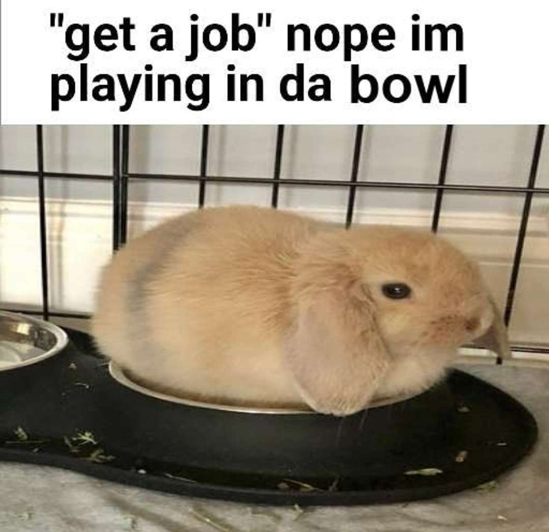 bow.gif