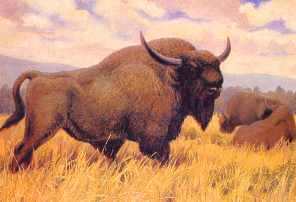 Ancient Bison Skin Art Contest - Age Of Cenozoic - Image 2