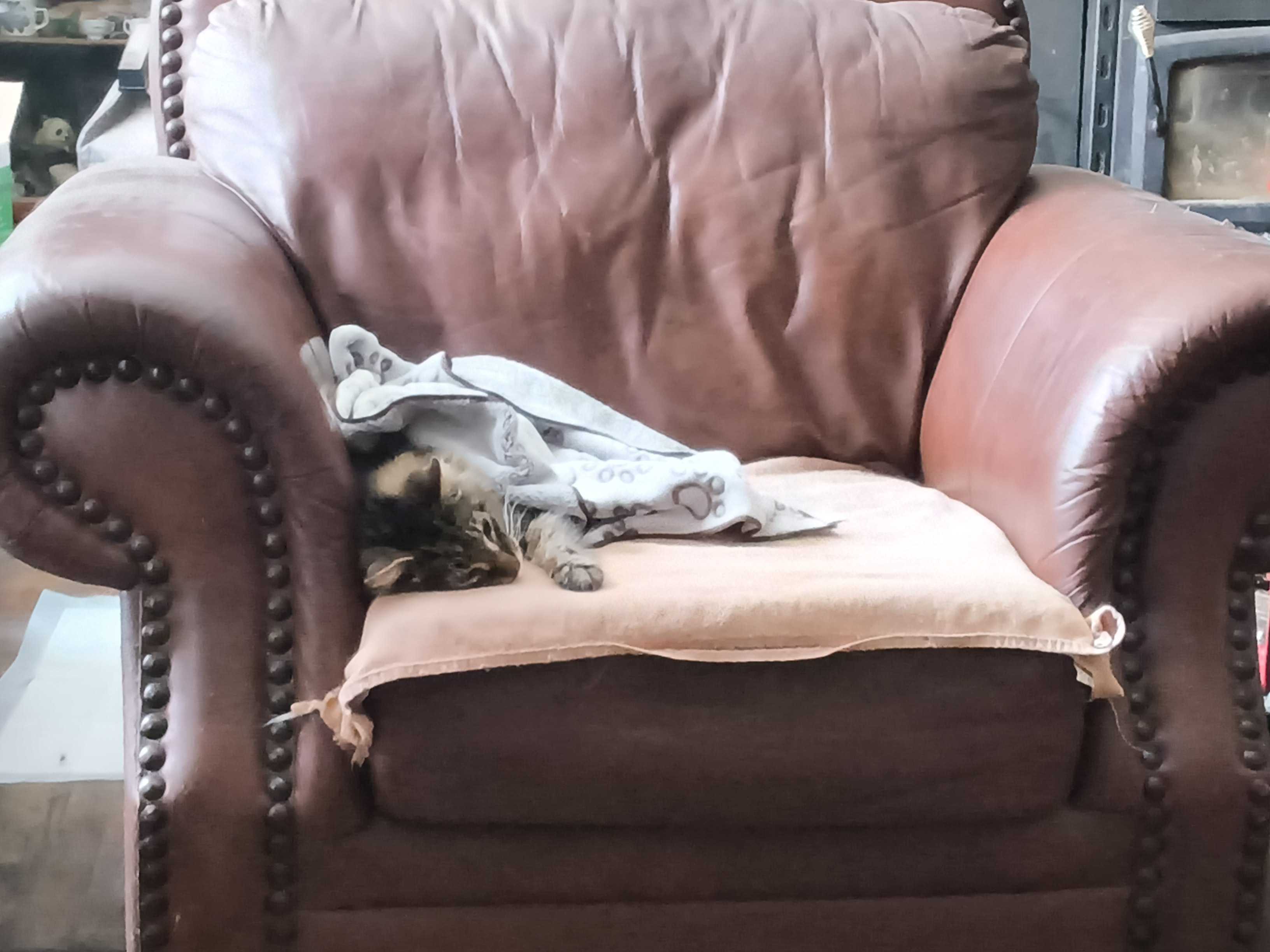 Wisterwild Photo Gallery & Community Highlights - Image 2