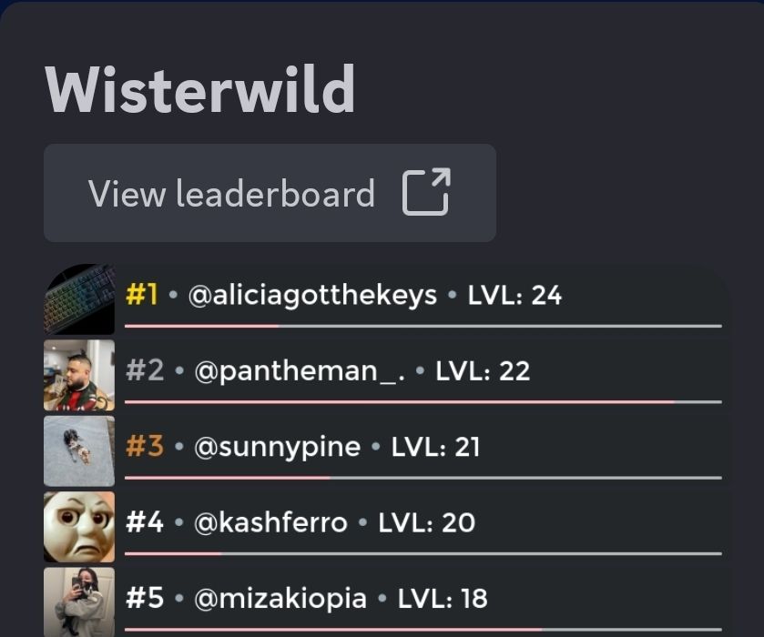 Wisterwild Weekly Arcane Leaderboard