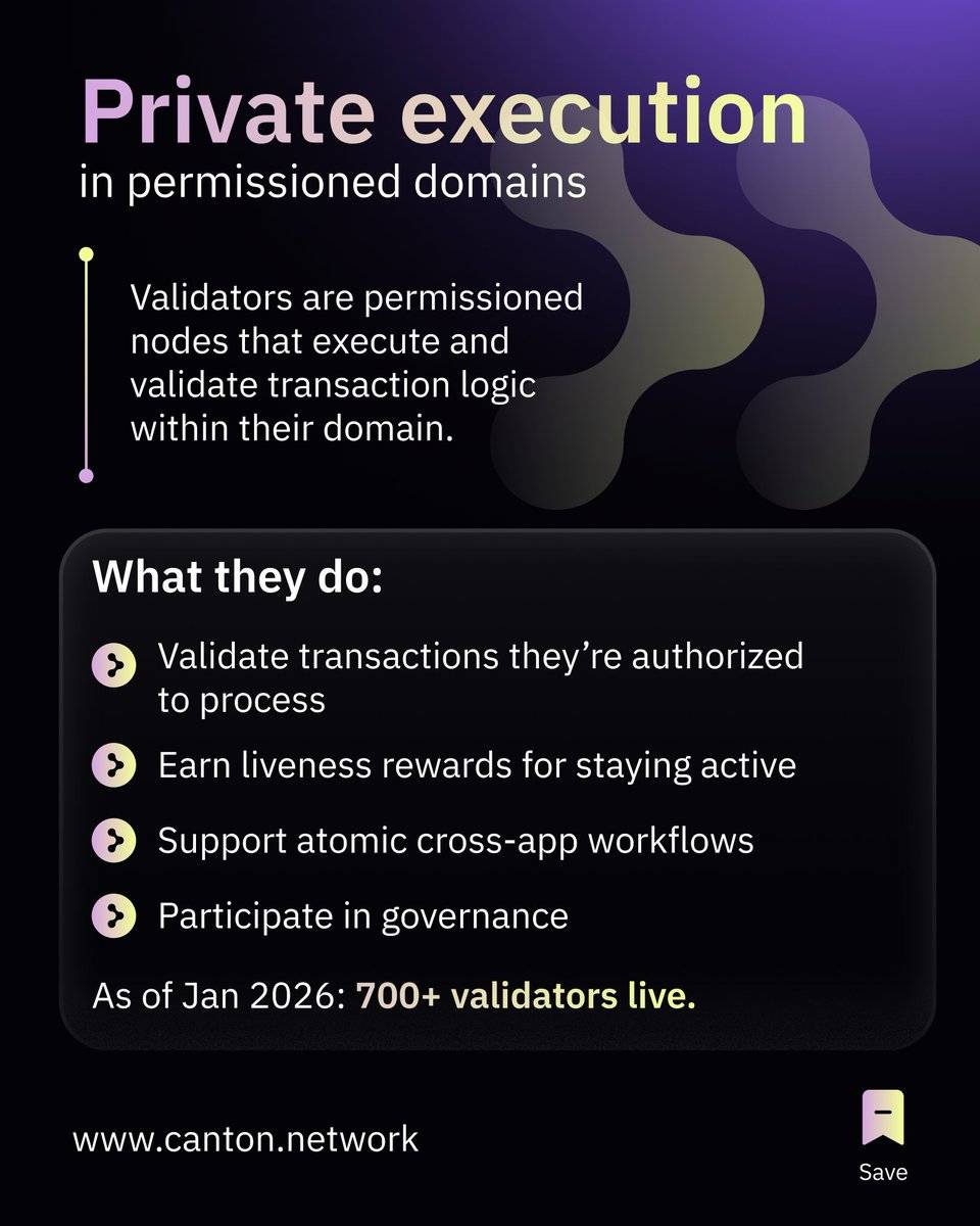 Validators and Super Validators on Canton