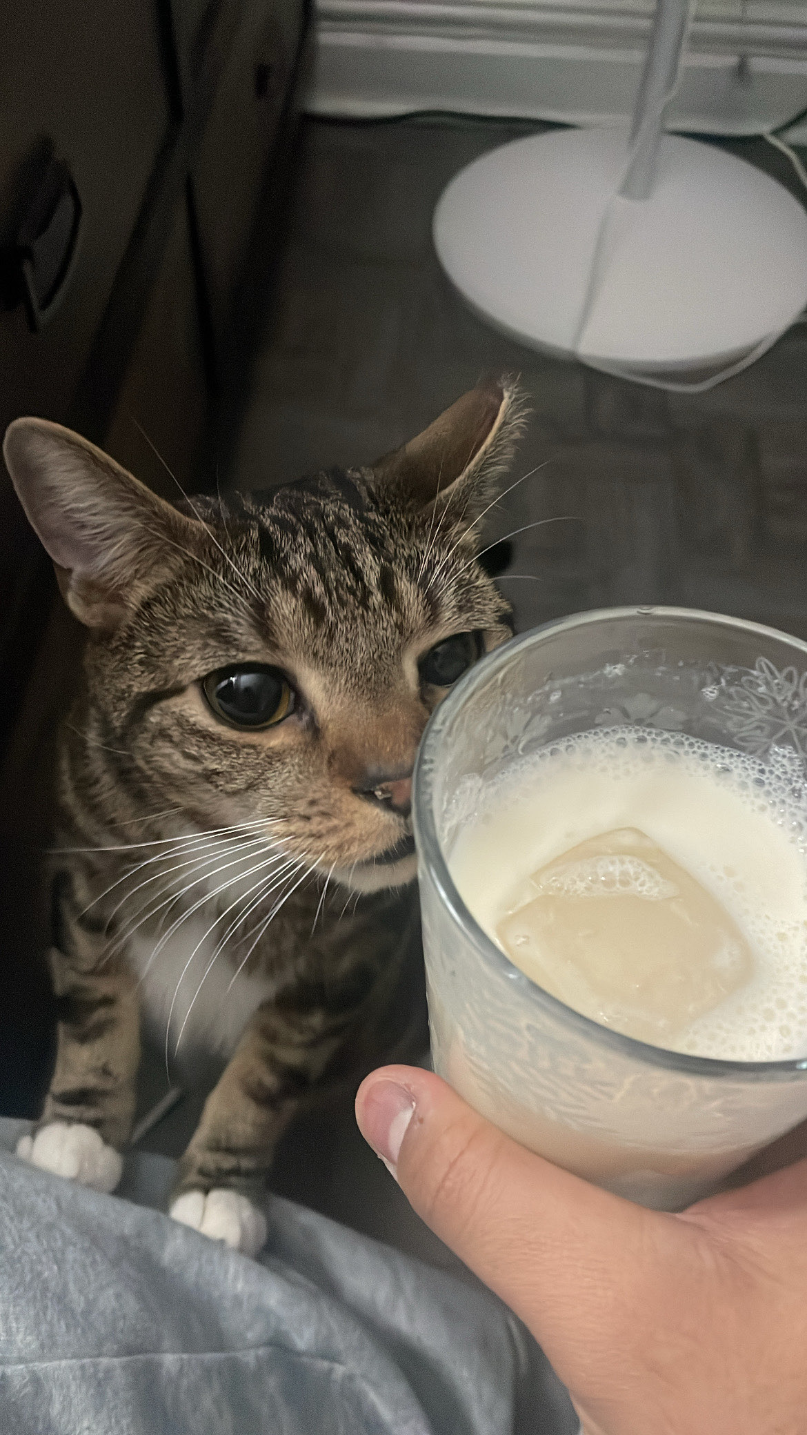 ShimadaX Event and Gallery Update - Image 3