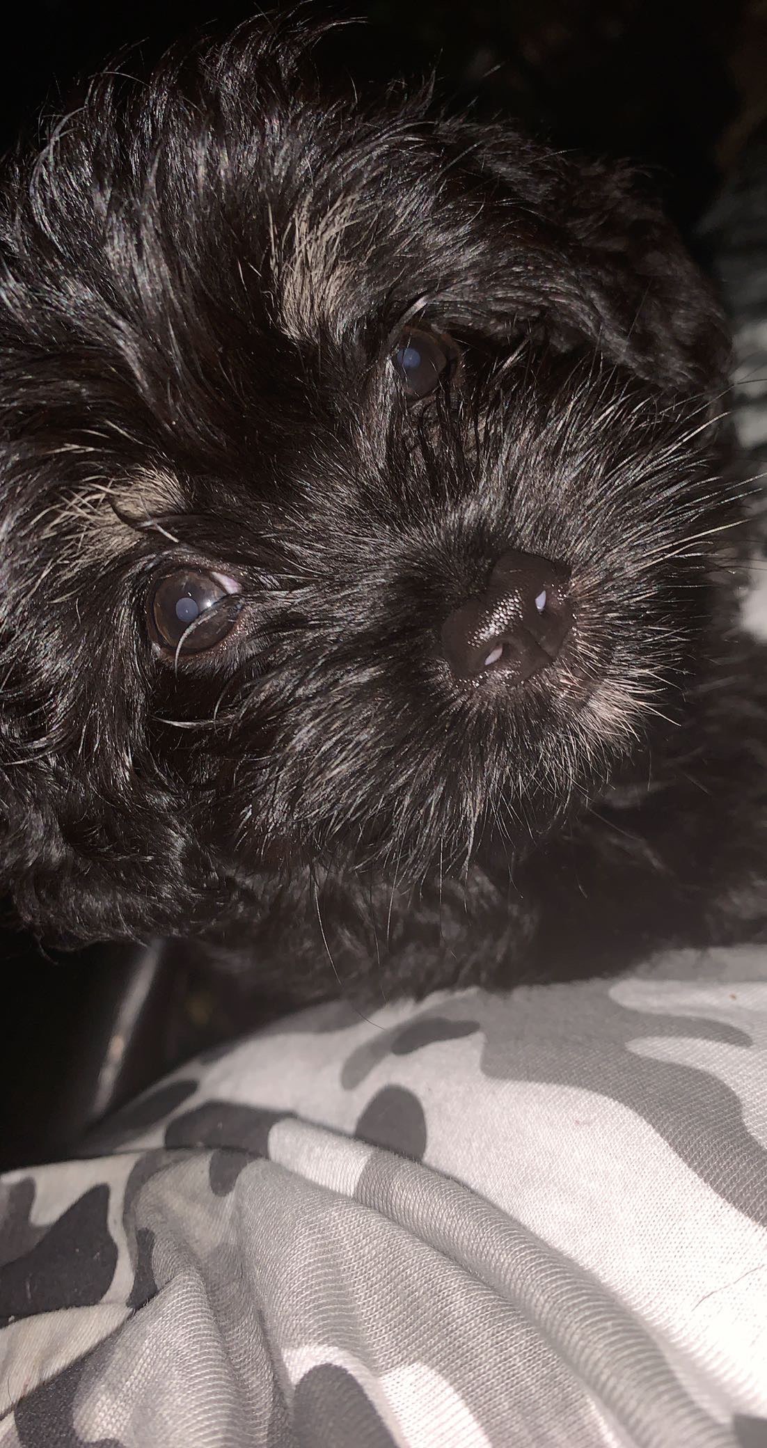 ShimadaX Event Photos and Community Highlights - Image 1