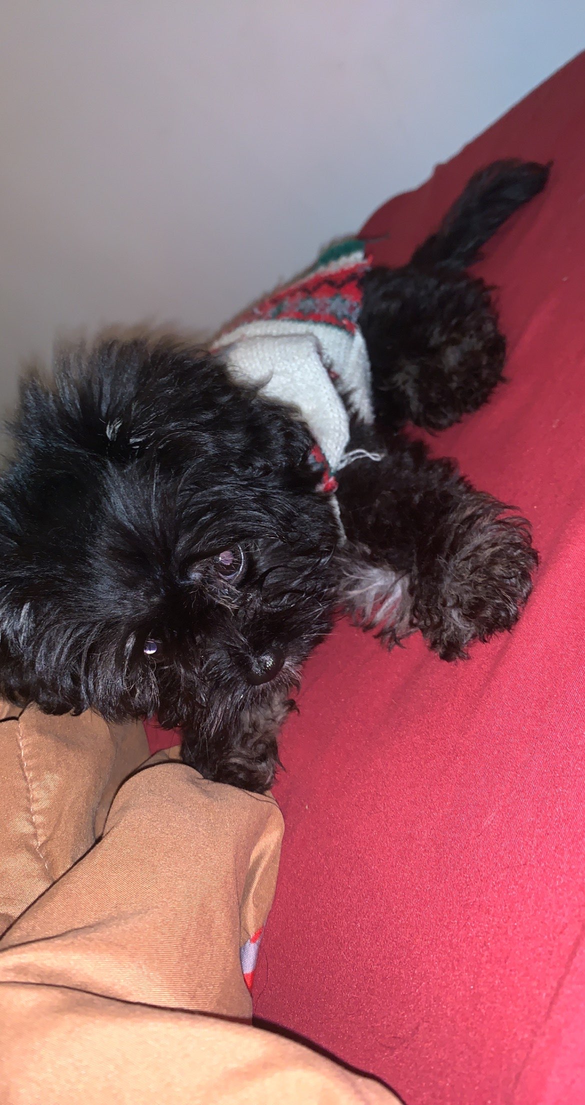 ShimadaX Event Photos and Community Highlights - Image 2