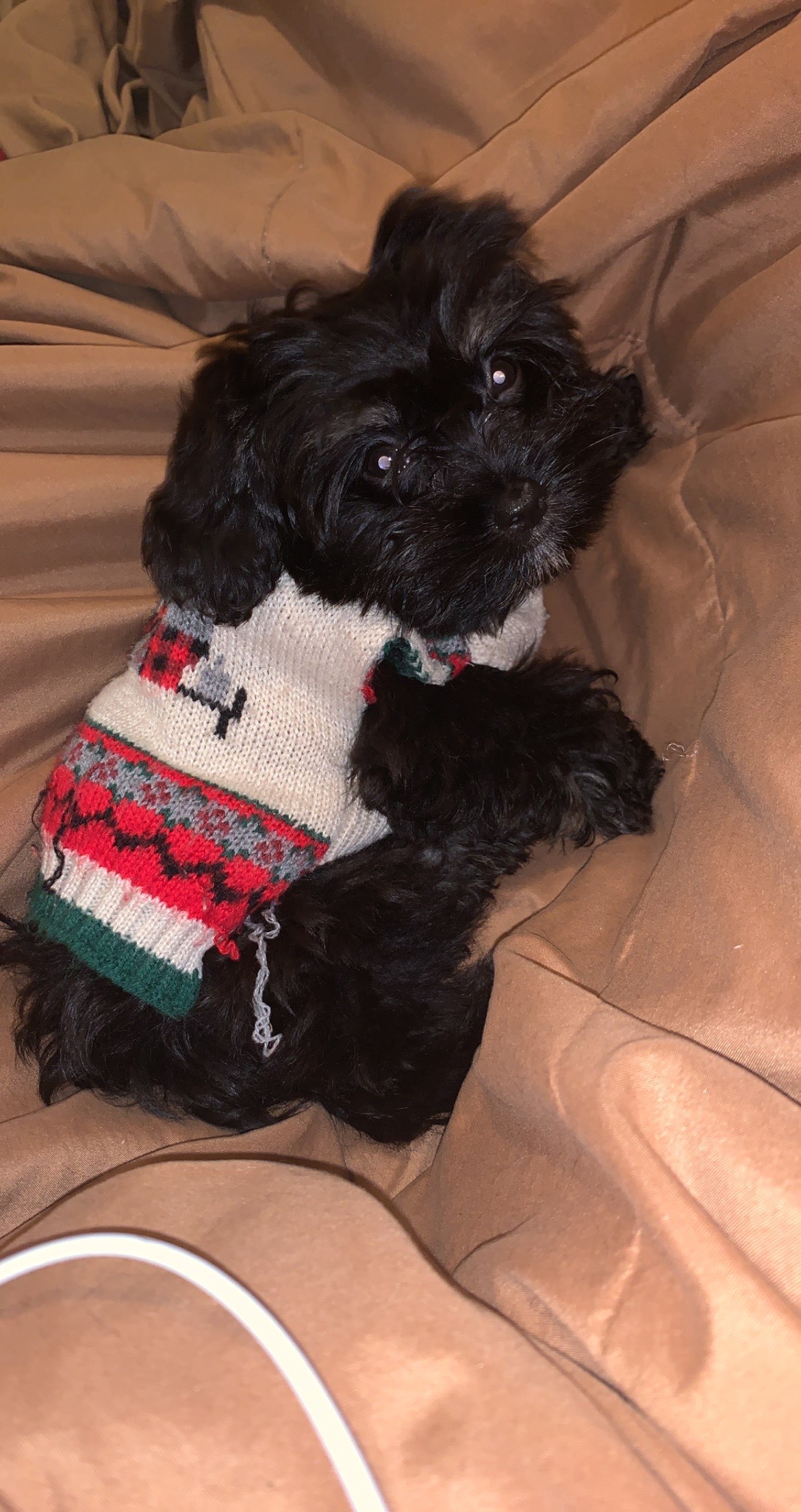 ShimadaX Event Photos and Community Highlights - Image 3