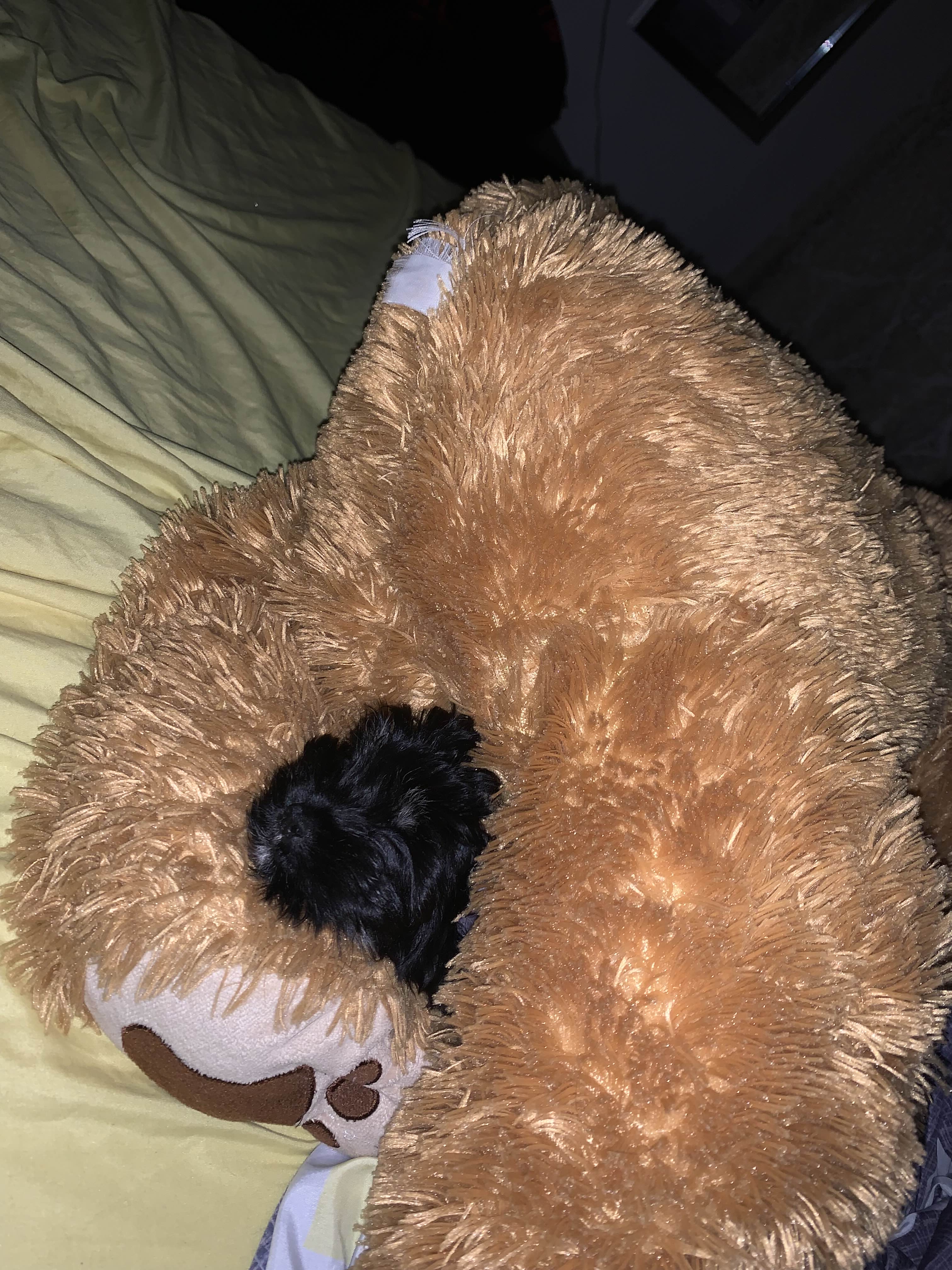 ShimadaX Event Photos and Community Highlights - Image 4