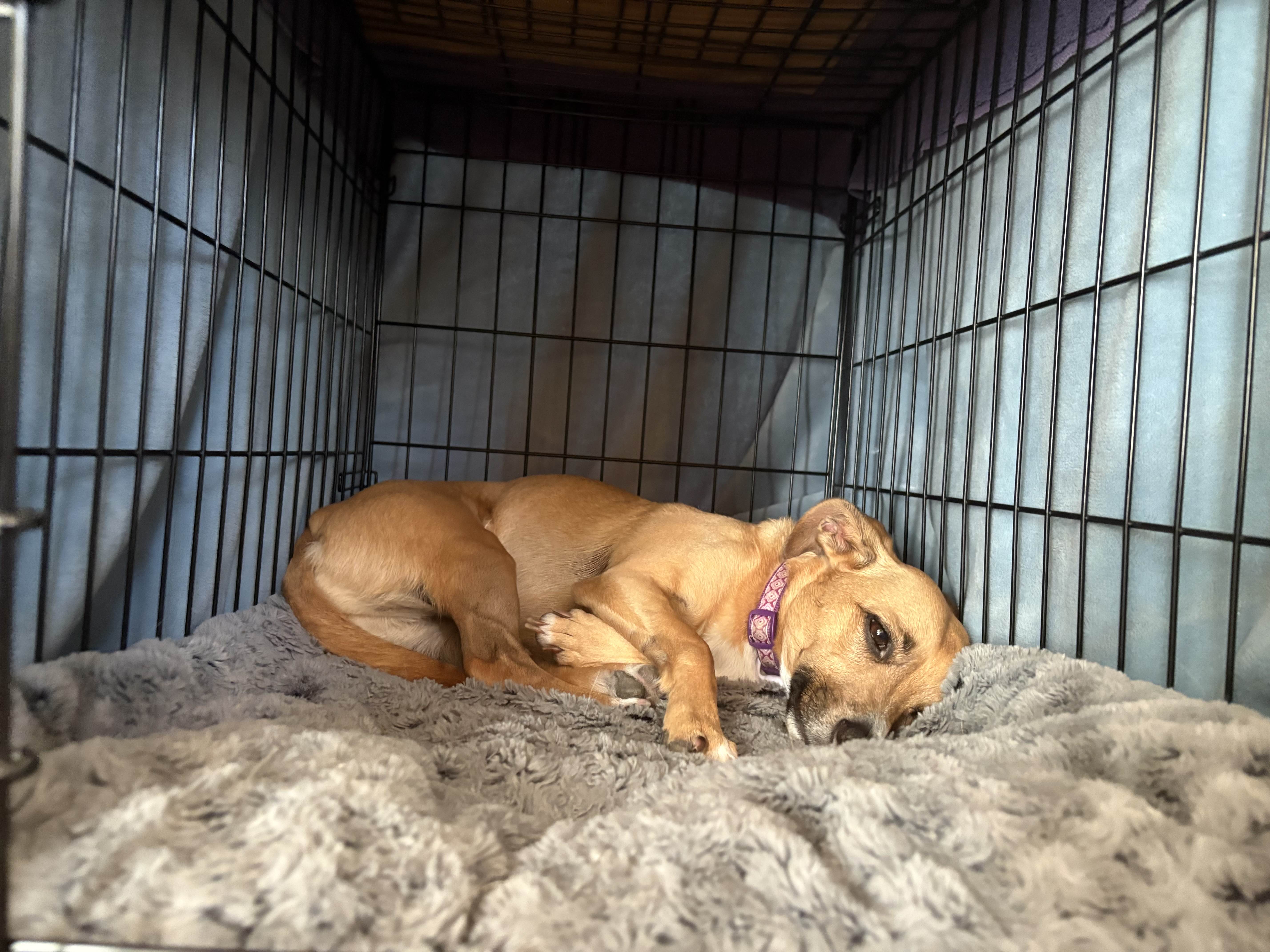 ShimadaX Gaming Night Photo Highlights - Image 1