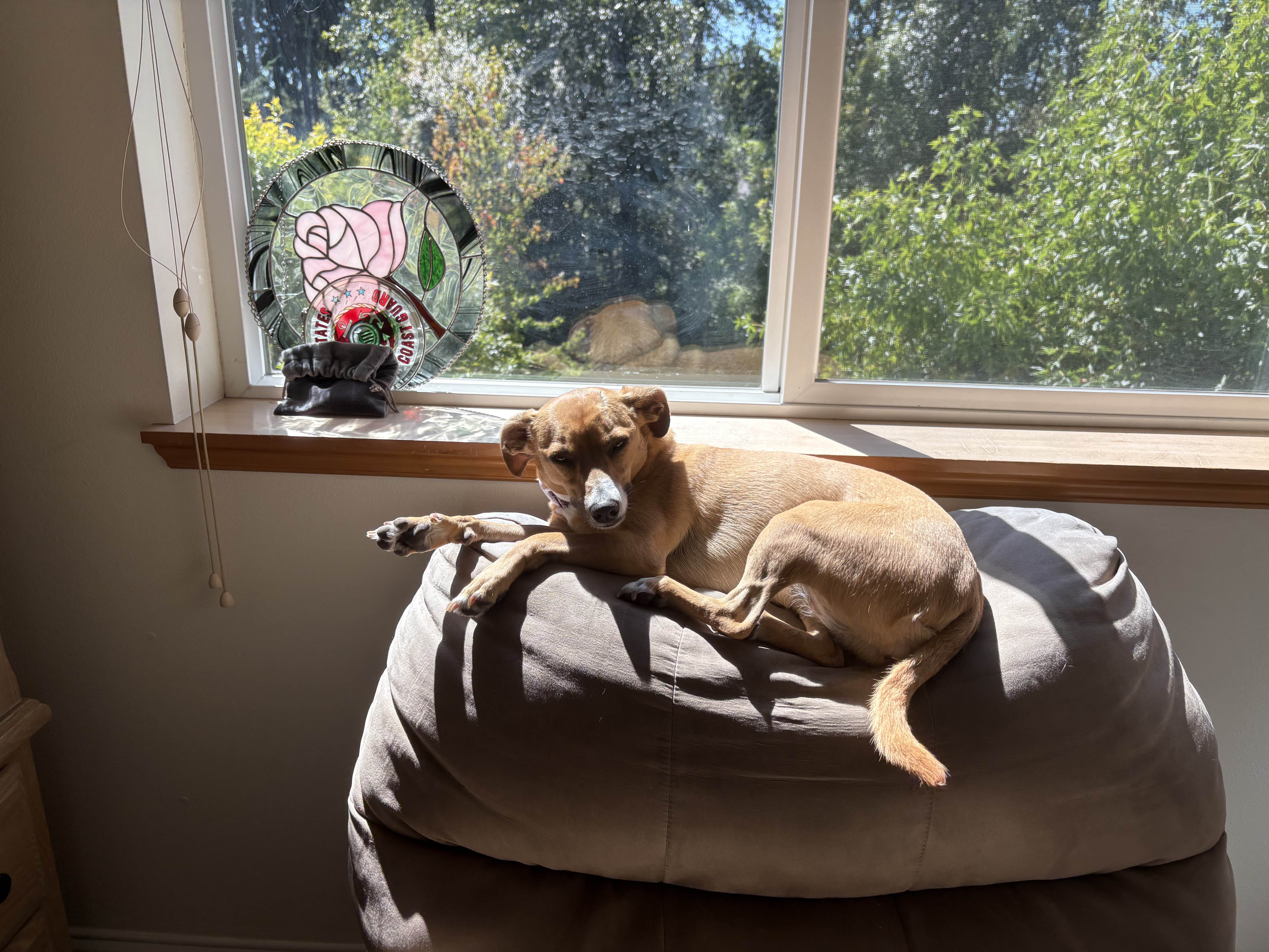 ShimadaX Gaming Night Photo Highlights - Image 2