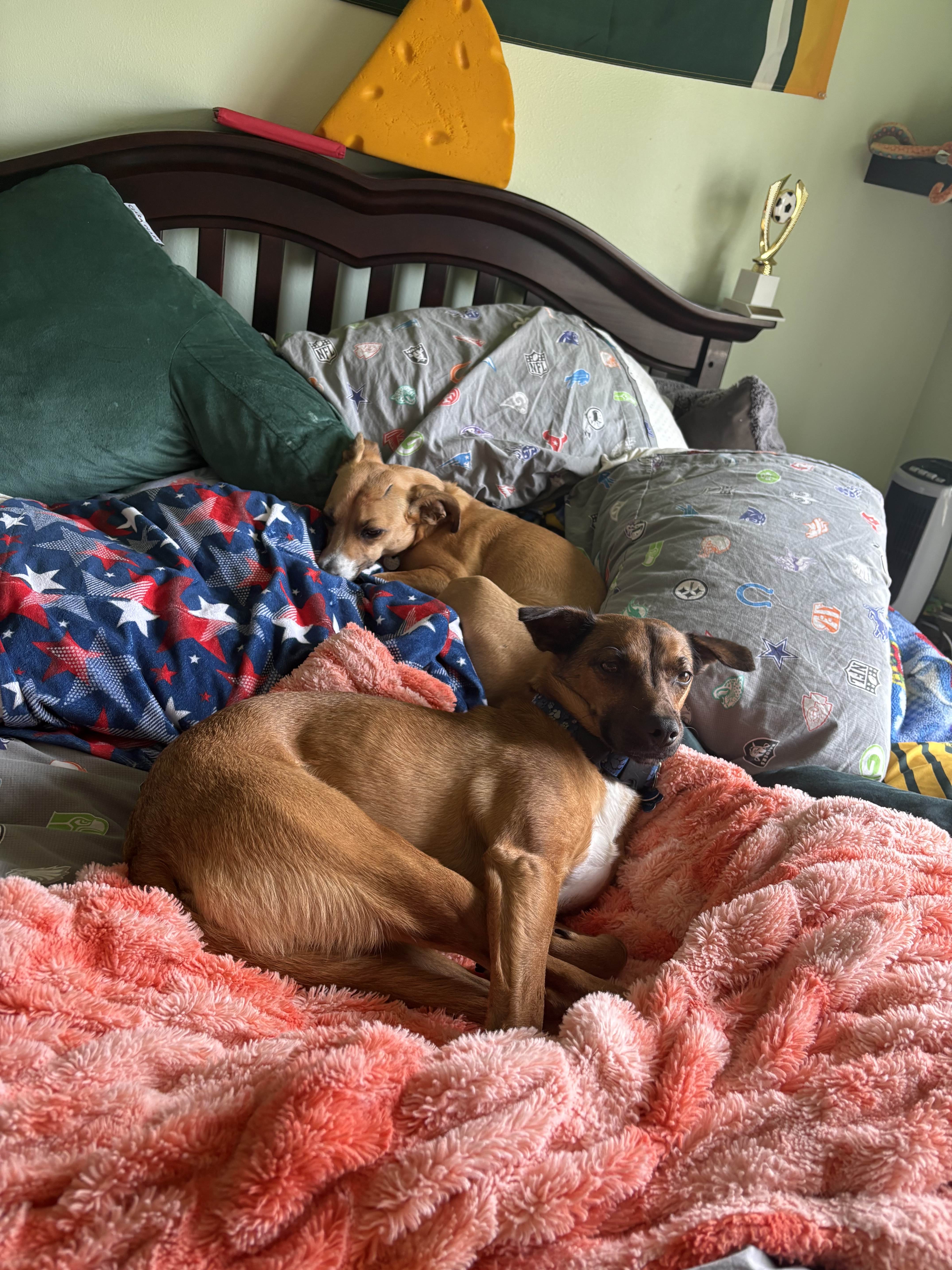 ShimadaX Gaming Night Photo Highlights - Image 4