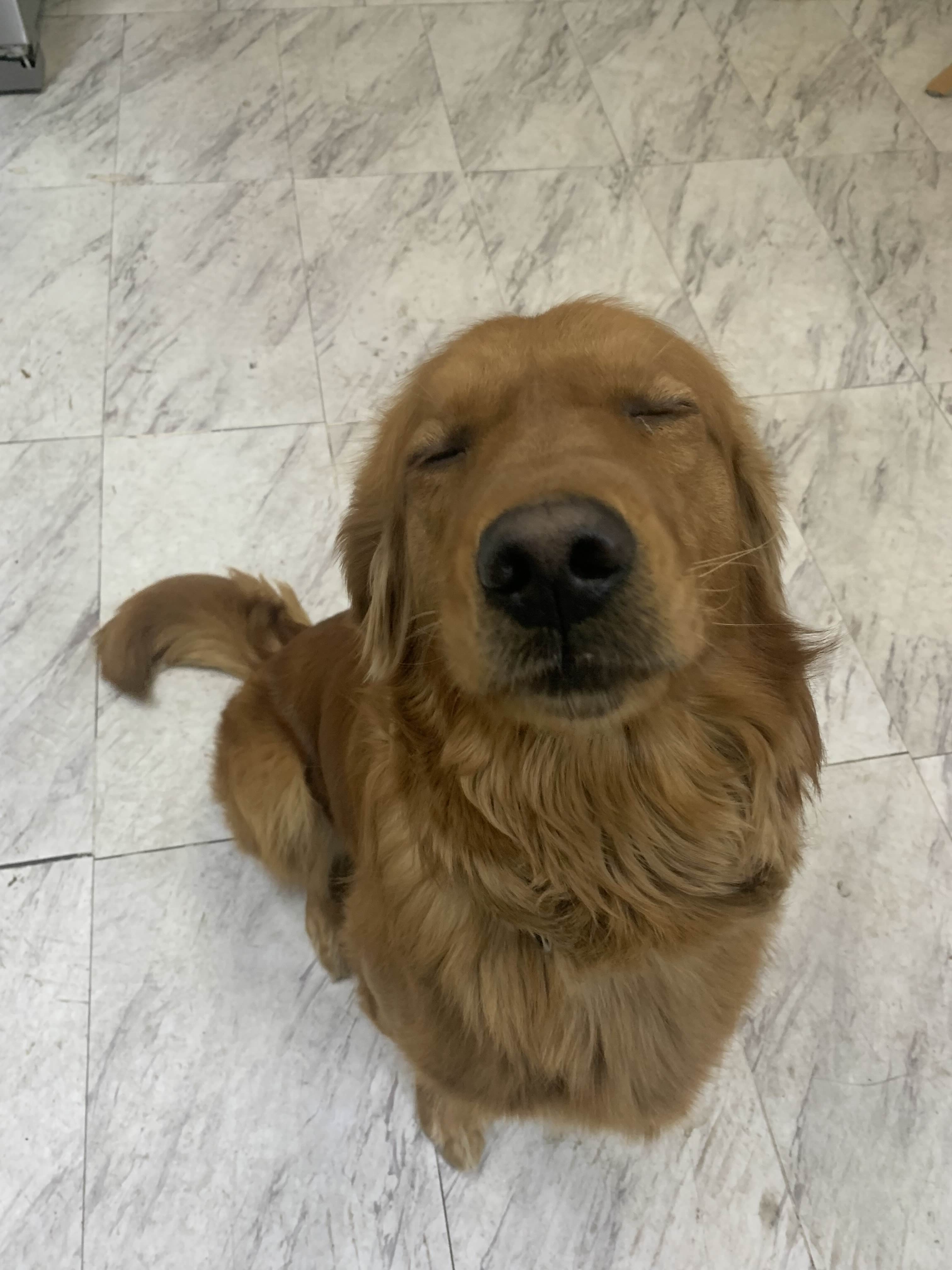 ShimadaX Summer Gaming Gallery & Community Highlights - Image 1